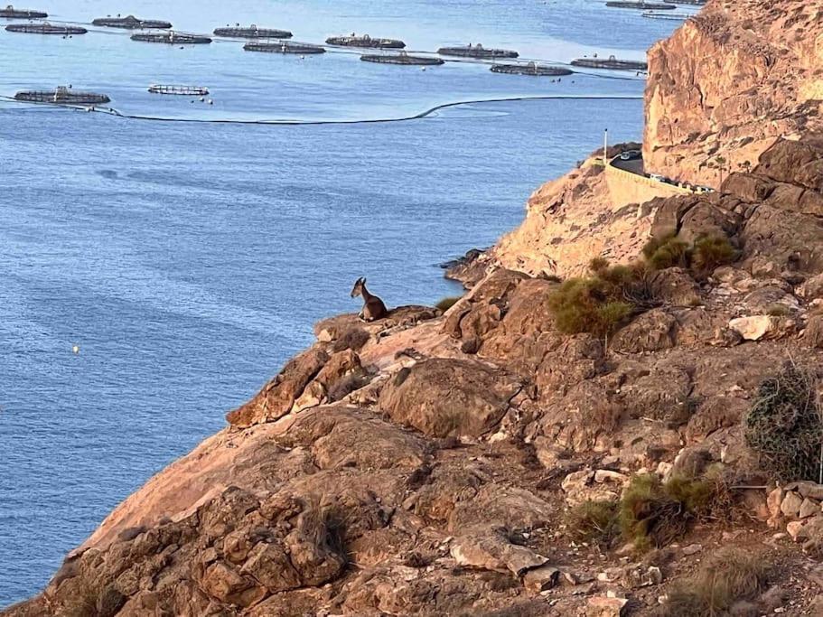 Luz De Mar Leilighet Almería Eksteriør bilde